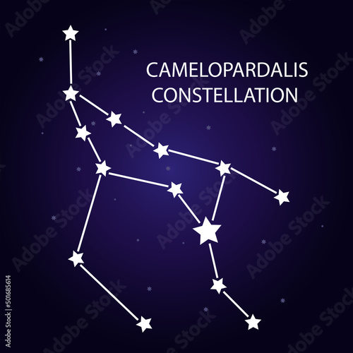 The constellation Camelopardalis with bright stars. Vector illustration.