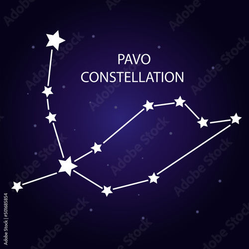 The constellation of Pavo with bright stars. Vector illustration.