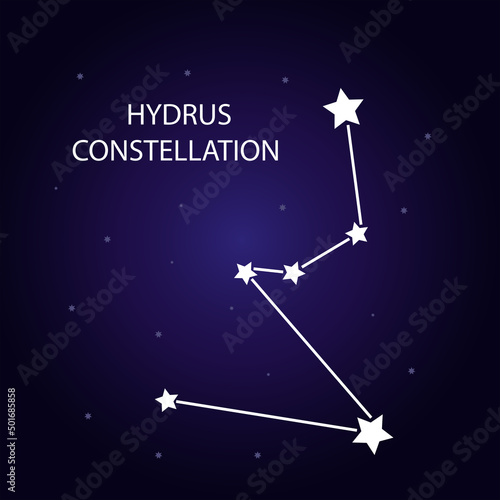 The constellation of Hydrus with bright stars. Vector illustration.