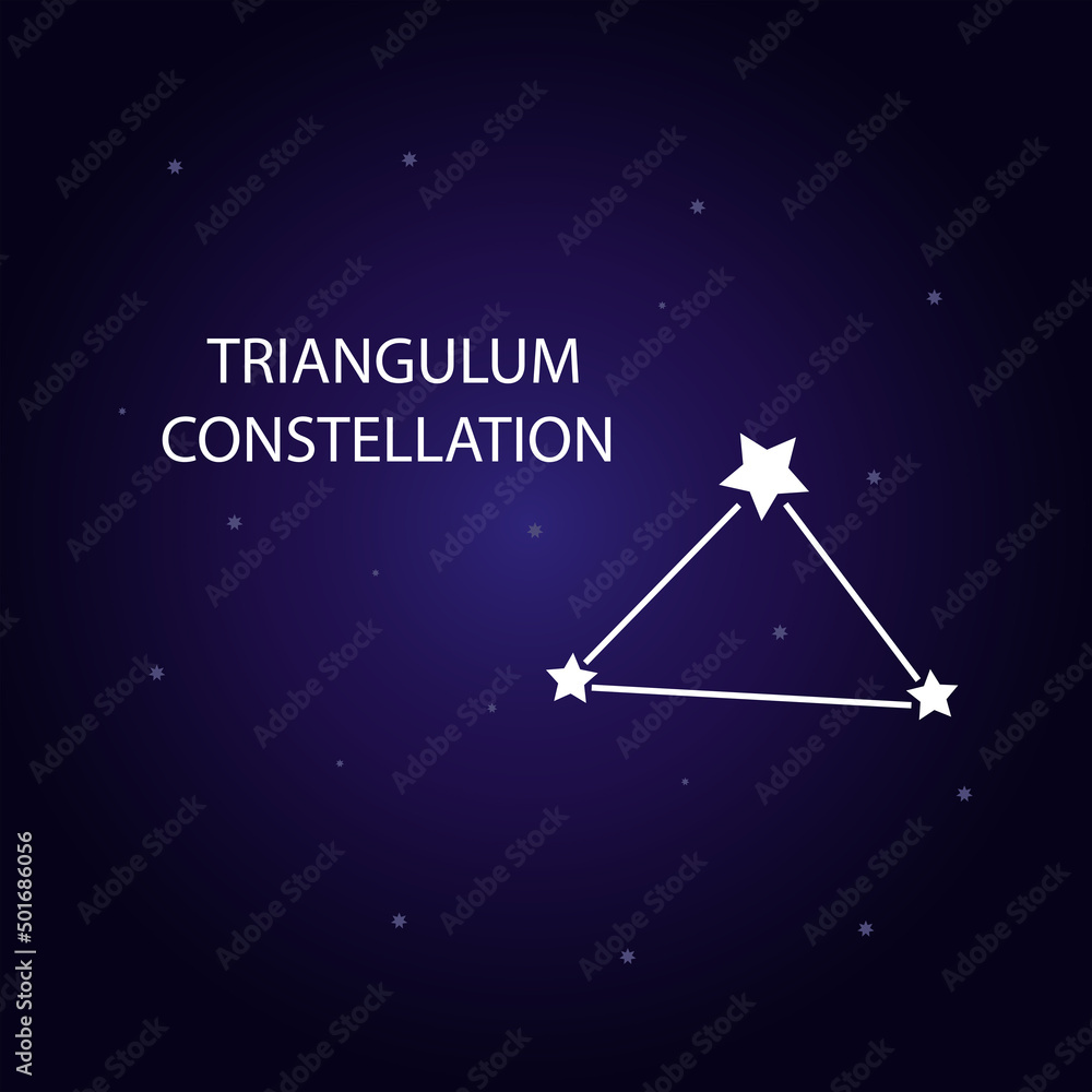 Naklejka premium The constellation of Triangulum with bright stars. Vector illustration.