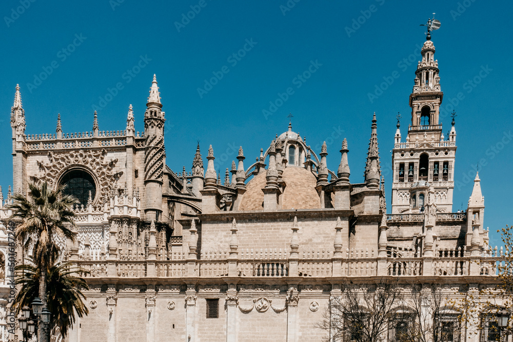 cathedral and giralda of Seville on sunny day