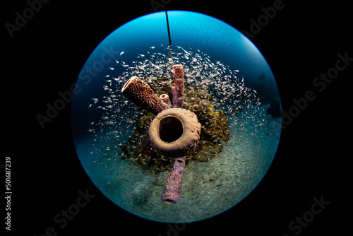 Little Big Planet underwater diving scubadiving