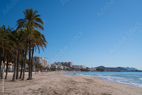 Villajoyosa beach Spain beautiful beach with palm trees Costa Blanca Alicante © acceleratorhams