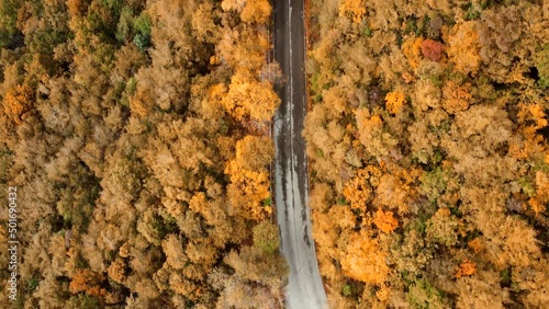 drone footage from above. fly by the forest following the mountain road. Color correction to adapt footage for fall/winter videos photo