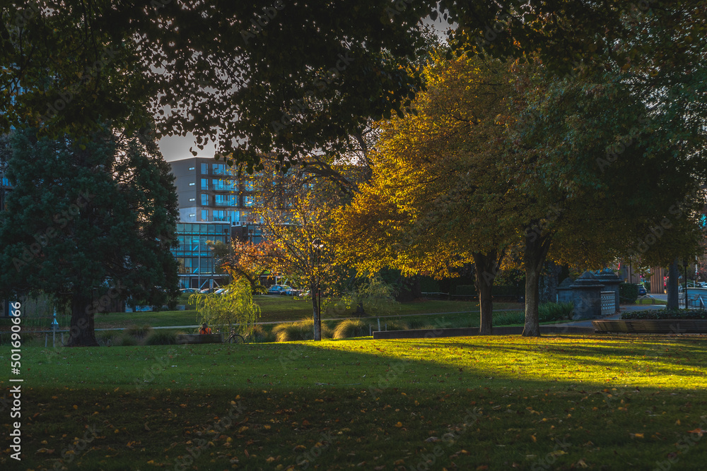 Obraz premium park in autumn