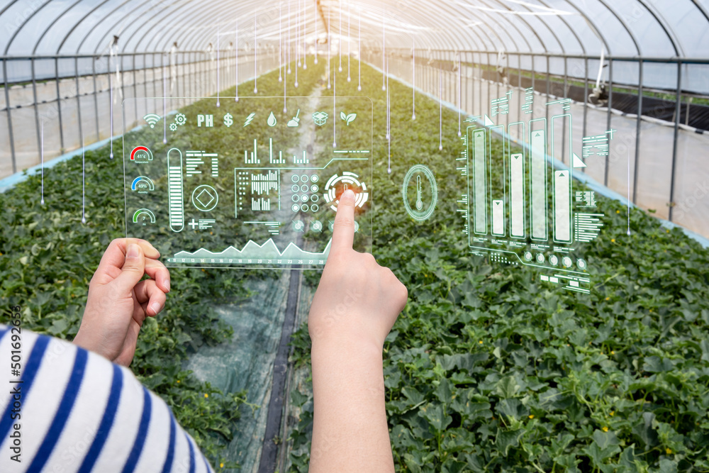 Women who are managing crops using augmented reality devices in melon ...