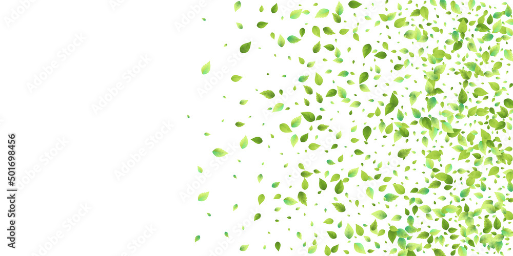 Leaves Green Falling Flying Foliage Leaf Tea Mint Leaves Green Falling Flying Foliage Leaf Tea Mint