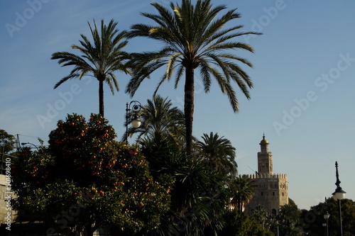 Sevilla, Torre del Oro and Guadalquivir river © anghifoto