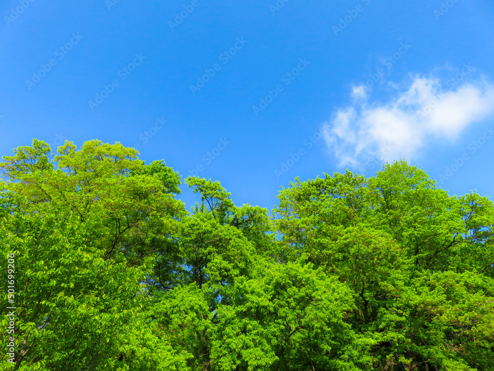 快晴の青空と山脈　リラクゼーション癒しの初夏イメージ背景素材　水彩画風　日本