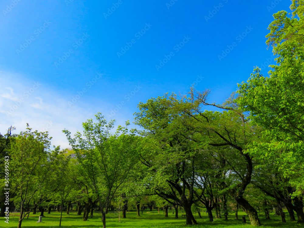 快晴の青空と山脈　リラクゼーション癒しの初夏イメージ背景素材　水彩画風　日本