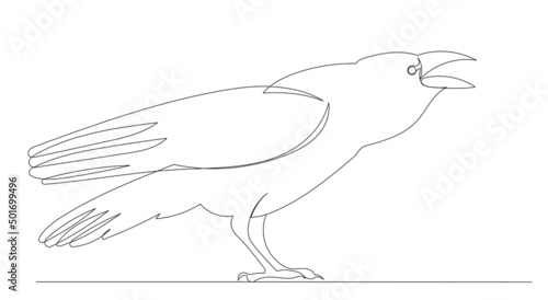 bird  crow drawing by one continuous line