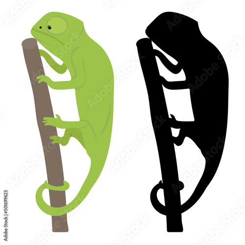 chameleon flat design, isolated on white background, vector