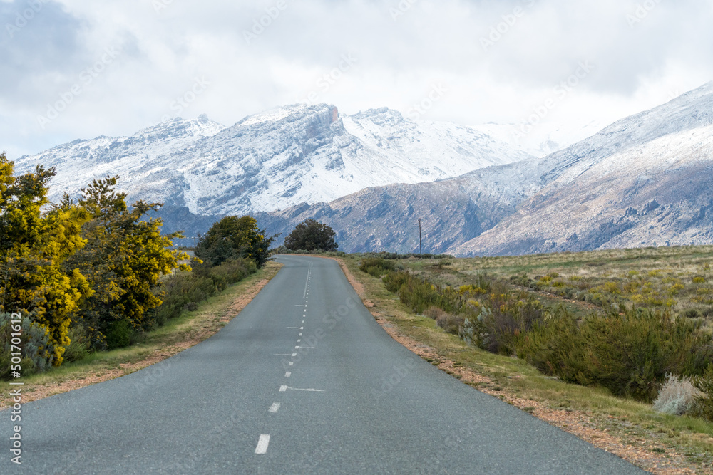 Naklejka premium asphalt or tarred empty road leading into snow covered mountains in Ceres, Western Cape, South Africa during winter season