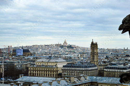 ノートルダム大聖堂から見たフランスの景色 © YUKI