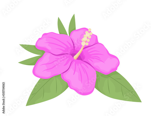 Hibiscus flower blooming semi flat color vector object. Full sized item on white. Tropical flora for decoration simple cartoon style illustration for web graphic design and animation