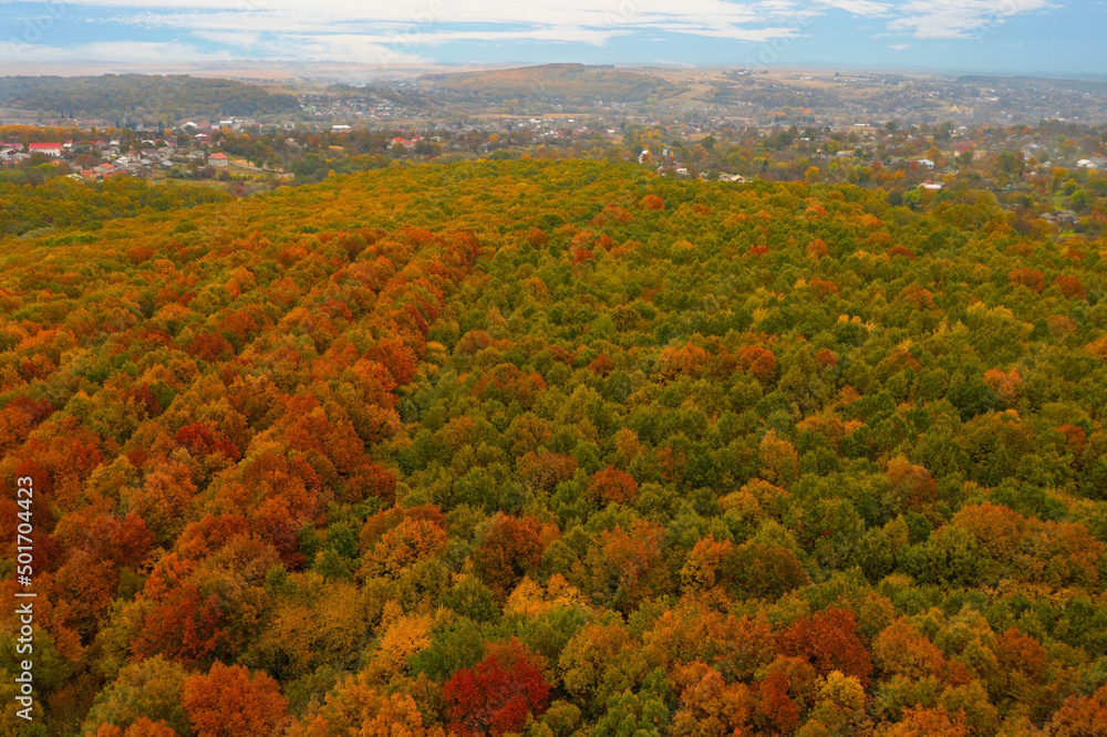 Aerial view of beautiful autumn forest near village