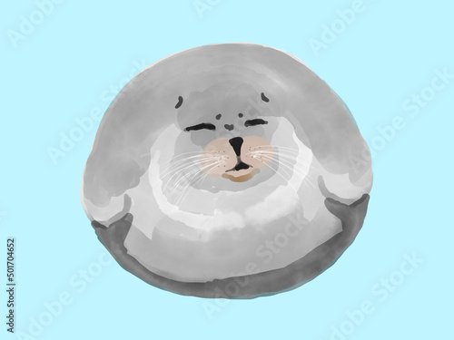アザラシ
