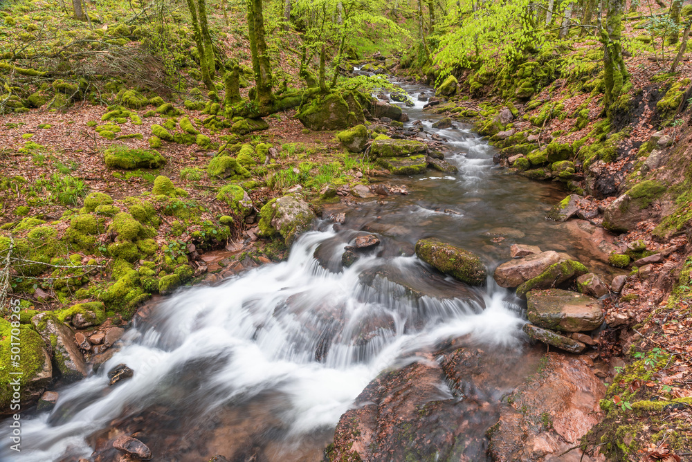Arce Valley. Iruerreka stream. Navarra Arce Valley. Iruerreka stream. Navarra