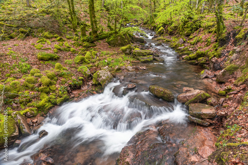 Arce Valley. Iruerreka stream. Navarra photo