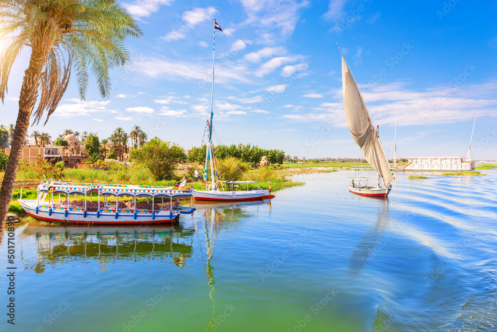 Picturesque banks of the Nile near Luxor city, Egypt