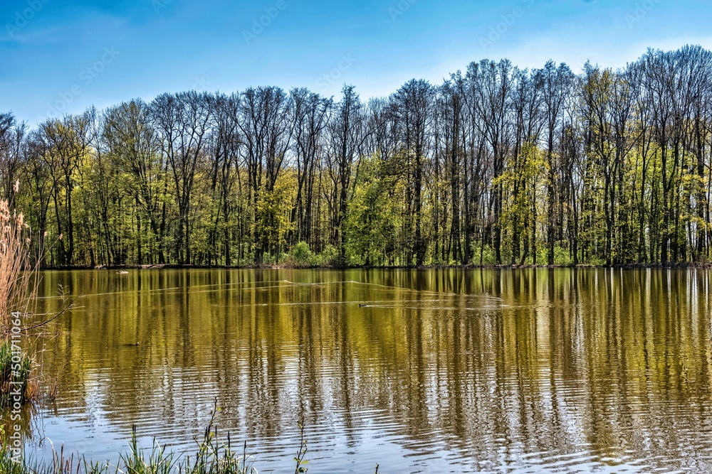 Idyllische Landschaft mit Fischweihern mit Blick auf das Schloss in Großgründlach