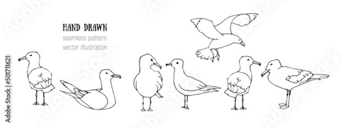 Hand drawn summer seaside horizontal seamless pattern. Sketch gull, seabird, flying seagull, anchor. Marine print in cartoon style. Doodle vector illustration. Sea, ocean, beach, sail. Border design
