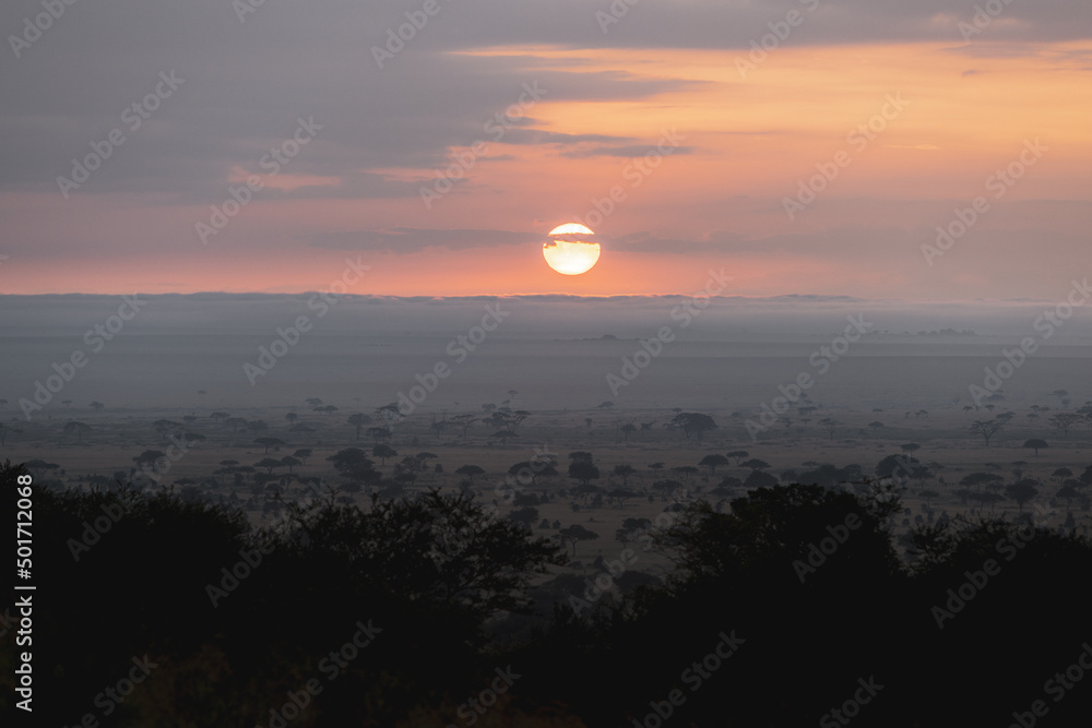 Obraz premium African sunset over the Serengeti plains