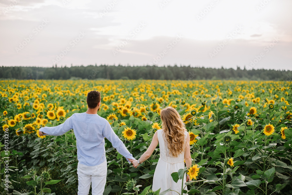 Couple walks in the sunflowers in a field on a summer day Couple walks in the sunflowers in a field on a summer day