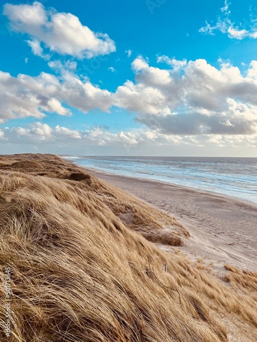 Dänischer Nordseestrand an der Westküste von Jütland