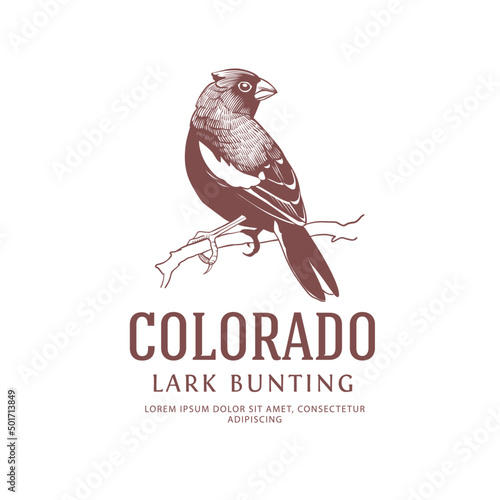 Colorado State Bird Vintage Logo. Lark Bunting