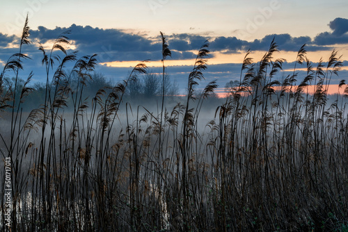 Poranek z mgłami nad Stawami Dojlidzkimi, Podlasie, Polska photo