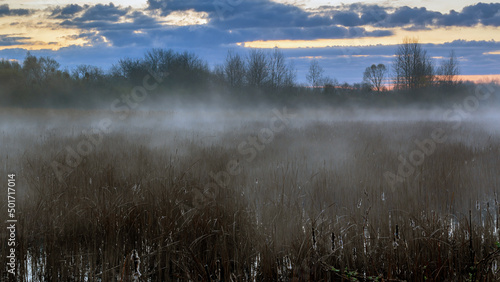 Poranek z mgłami nad Stawami Dojlidzkimi, Podlasie, Polska