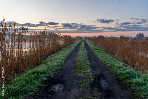 Poranek z mgłami nad Stawami Dojlidzkimi, Podlasie, Polska