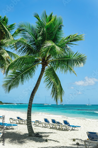 Fototapeta Naklejka Na Ścianę i Meble -  Beautiful exotic tropical Saona Island Beach at Dominican Republic