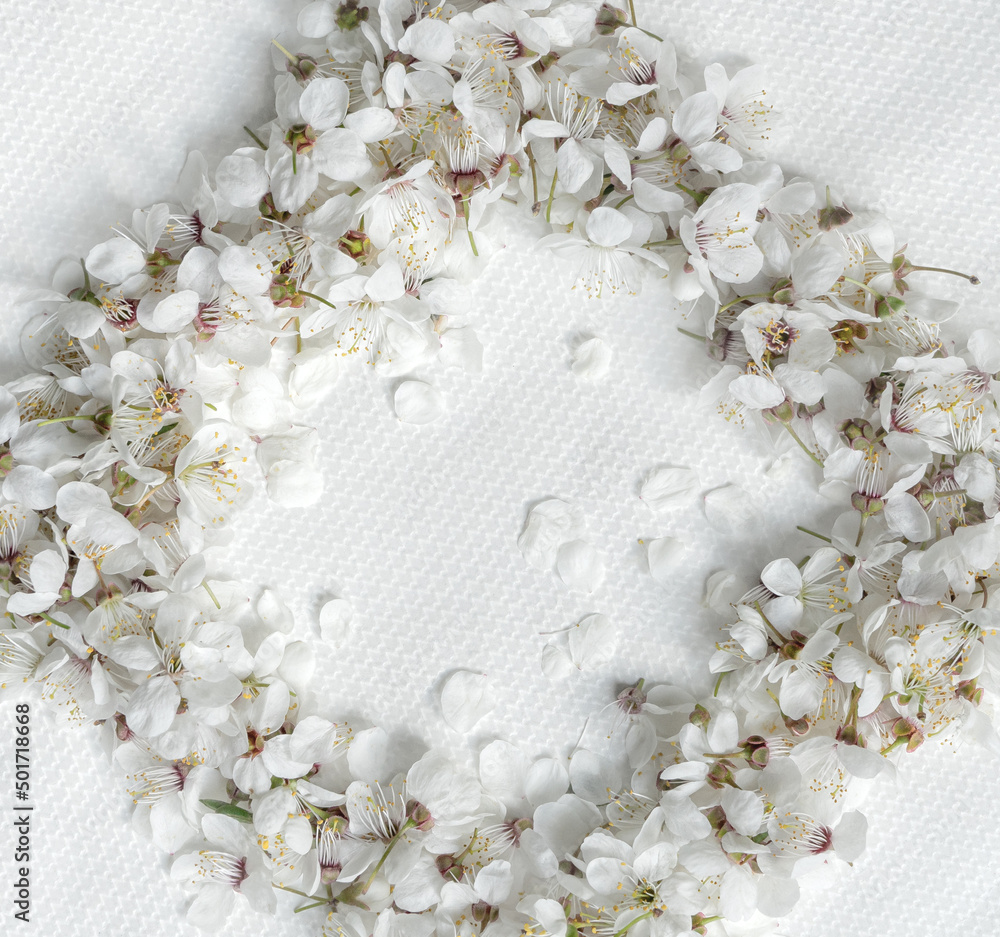 Delicate cute spring sakura flowers close up  with copy space for design.