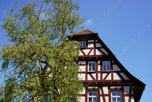 Das alte Pfarrhaus in Nellingen wurde 1565 erbaut und noch heute strahlt das historische Fachwerkhaus in der Frühlings Sonne © Yven Dienst