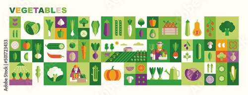 Set of vegetables illustrations: cabbage, broccoli, cucumber, tomato, zucchini, eggplant, carrot. Fresh healthy food. Vector icons in flat geometric style: veg, farmland, farmers and product boxes.