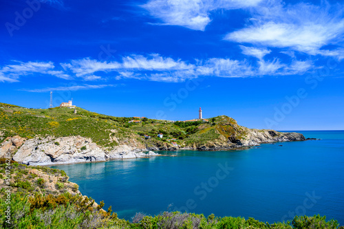 Quadro su tela phare du cap bear