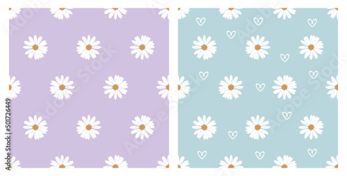 Seamless pattern with daisy flower and hand drawn hearts on purple and blue backgrounds vector.