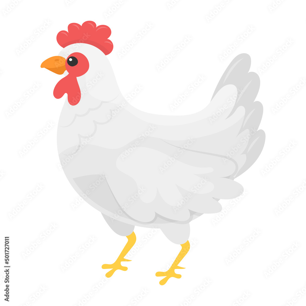 Broilers Concept, commercial meat breeds vector color icon design, Poultry farming symbol, Meat or Eggs Production Sign, Protein and farmyard equipment stock illustration
