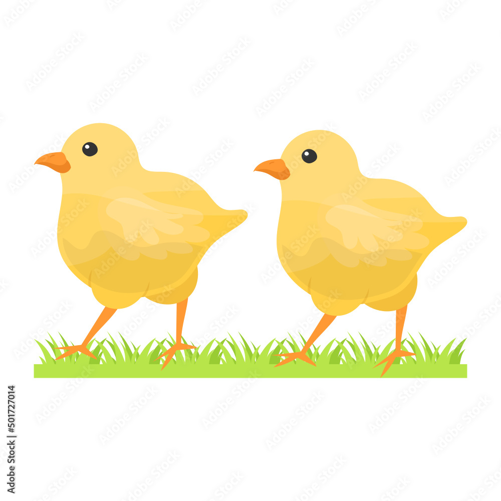 Pair of chicks Concept, pullets or Baby free range chicken vector color icon design, Poultry farming symbol, Meat or Eggs Production Sign, Protein and farmyard equipment stock illustration