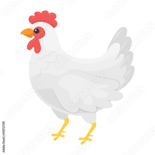 Broilers Concept, commercial meat breeds vector color icon design, Poultry farming symbol, Meat or Eggs Production Sign, Protein and farmyard equipment stock illustration