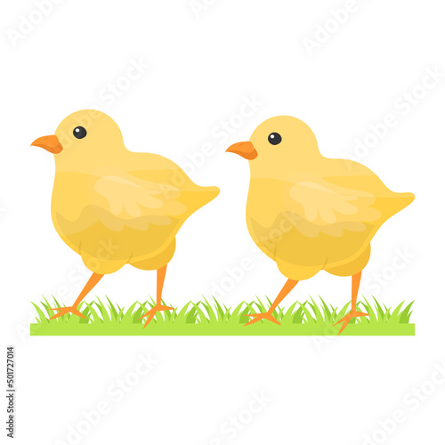 Pair of chicks Concept, pullets or Baby free range chicken vector color icon design, Poultry farming symbol, Meat or Eggs Production Sign, Protein and farmyard equipment stock illustration