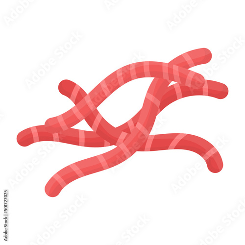  worms and coccidial oocysts Concept vector color icon design, Poultry farming symbol, Meat or Eggs Production Sign, Protein and farmyard equipment stock illustration