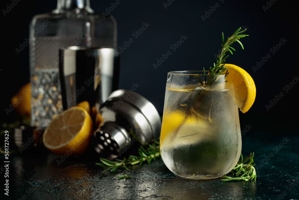 Cocktail gin tonic with natural ice, lemon, and rosemary. Cocktail gin tonic with natural ice, lemon, and rosemary.