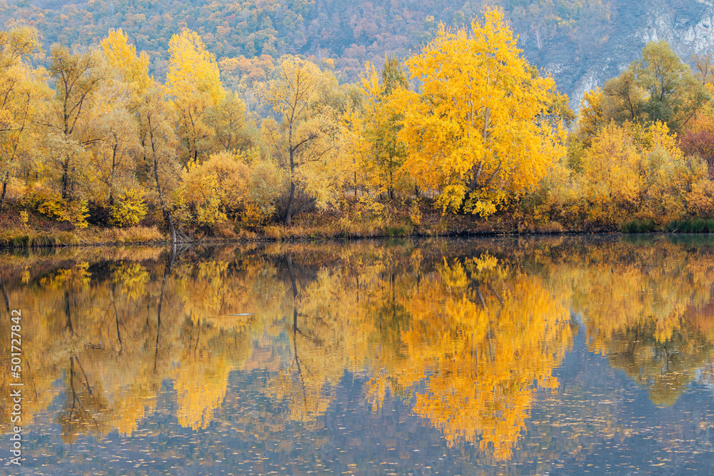 Trees with yellow leaves are reflected in the calm water of the pond in autumn in September. Trees with yellow leaves are reflected in the calm water of the pond in autumn in September.