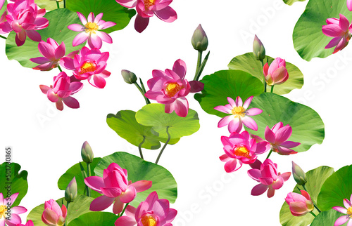 Seamless pattern with pink lotus flowers isolated on white background.