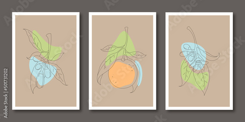 Minimalist botanical prints collection. Artistic drawing of the orange brunch with an abstract shape of different colors. Vector illustration. EPS 10