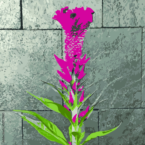 flowers on a wall