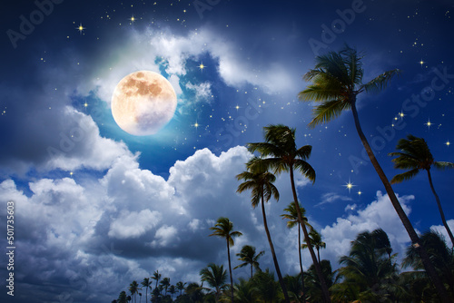 Fototapeta Naklejka Na Ścianę i Meble -  Night stars sky with full moon of Caribbean palm garden.